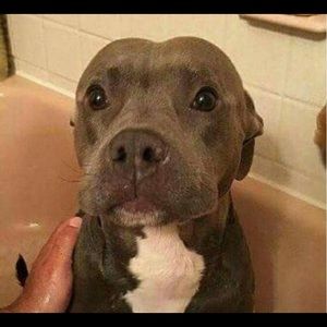 Meet your Posher, Eduardo